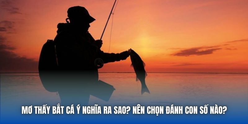 Mơ Thấy Bắt Cá Ý Nghĩa Ra Sao? Nên Chọn Đánh Con Số Nào?