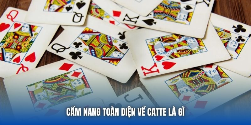 Cẩm nang toàn diện về Catte là gì