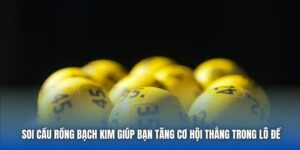 Soi Cầu Rồng Bạch Kim Giúp Bạn Tăng Cơ Hội Thắng Trong Lô Đề