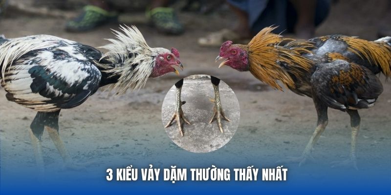 3 kiểu vảy dặm thường thấy nhất