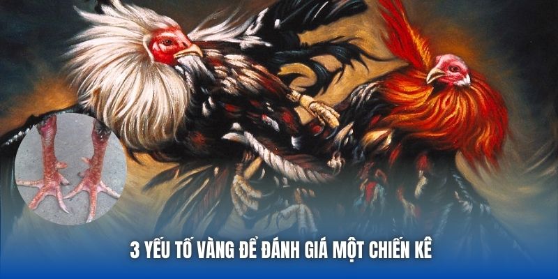 3 yếu tố vàng để đánh giá một chiến kê