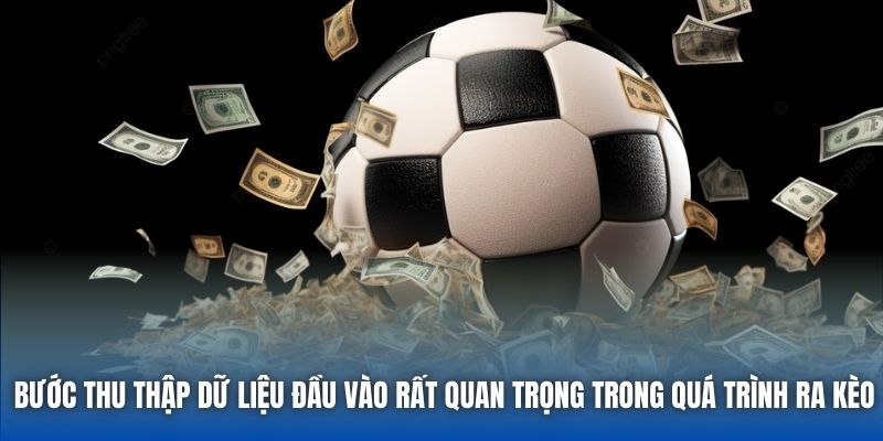 Bước thu thập dữ liệu đầu vào rất quan trọng trong quá trình ra kèo