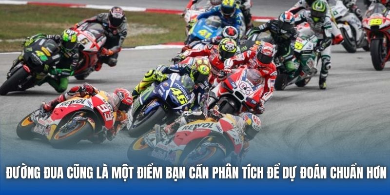 Đường đua cũng là một điểm bạn cần phân tích để dự đoán chuẩn hơn